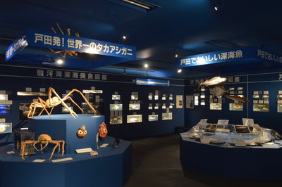 🏛️ 헤다 조선 향토 자료 박물관(토다조센쿄도토리시료하쿠부츠칸) 이미지 2